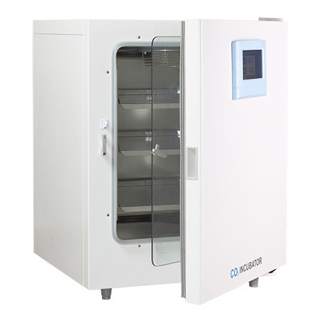 CO2培養箱二氧化碳培養箱BPN-240RWP